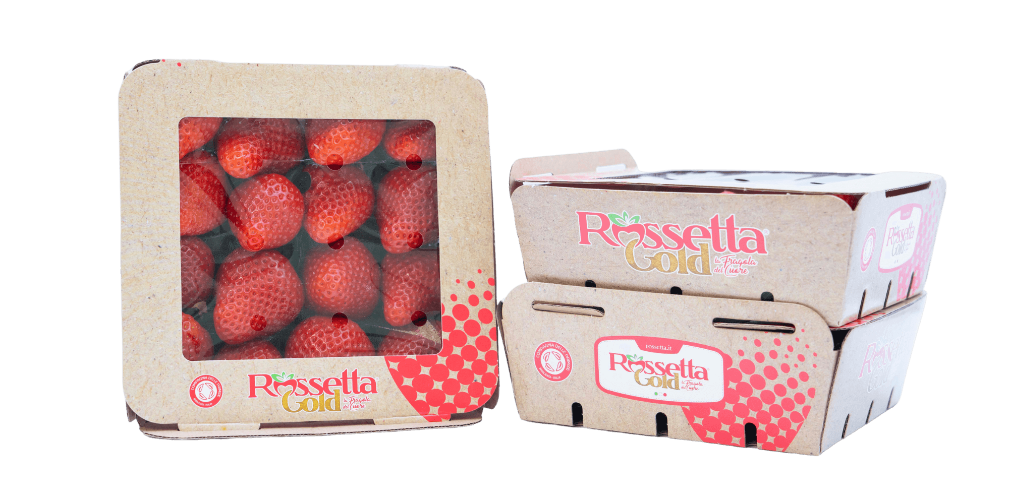 Packaging Rossetta Gold2 (1)